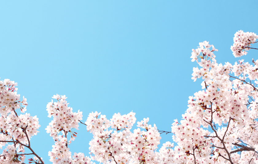 2c60287f093c66c24c232c67ca6c8155_1680141966_9484.png